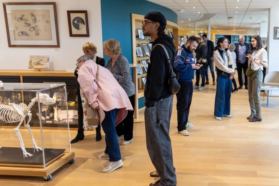 Bon plan dog friendly : le musée du chien gratuit jusqu’au 1er septembre