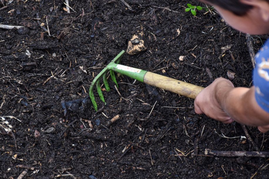 Mercredi c’est tout vert : atelier potager gratuit à la Ferme de Paris