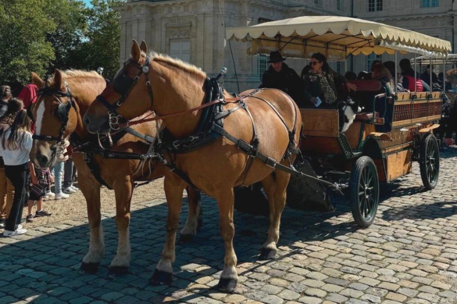 Tous en piste ! : journée équestre gratuite au château de Maisons Laffitte