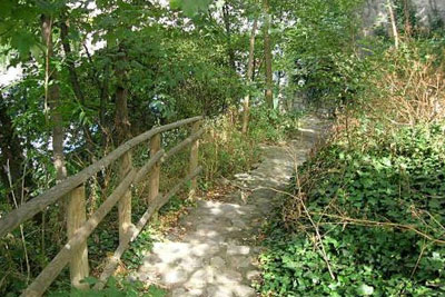 Visite guidée gratuite d'un jardin 100% nature à Montmartre