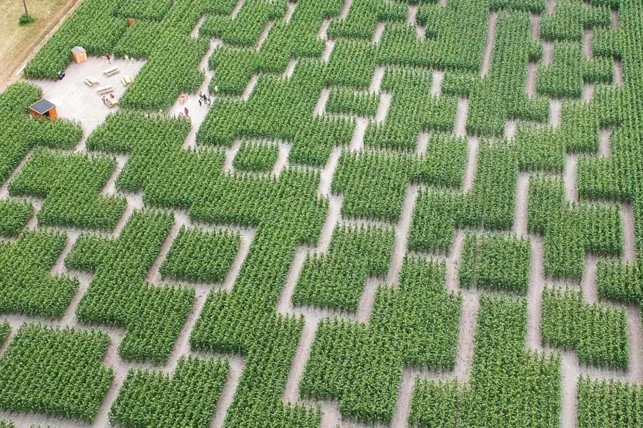 Labyrinthes géants de maïs : escape game nature et frissons nocturnes !