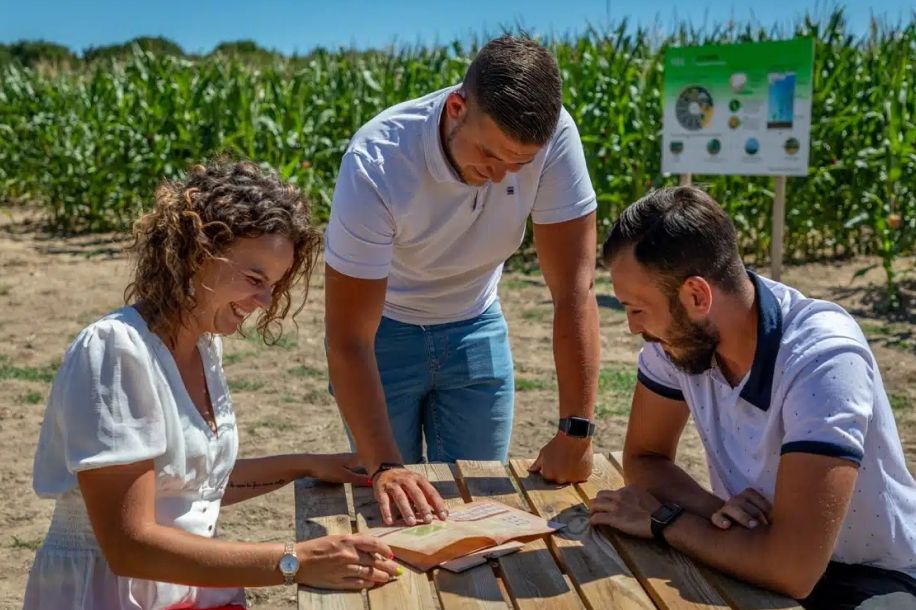 Labyrinthes géants de maïs : escape game nature et frissons nocturnes !