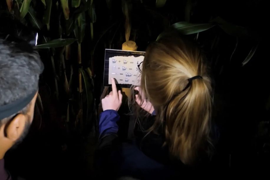 Labyrinthes géants de maïs : escape game nature et frissons nocturnes !