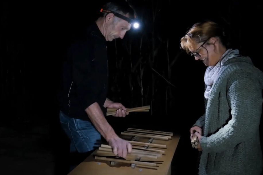 Labyrinthes géants de maïs : escape game nature et frissons nocturnes !