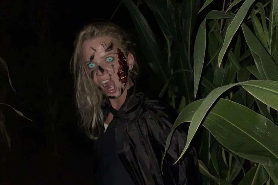 Labyrinthes géants de maïs : escape game nature et frissons nocturnes !