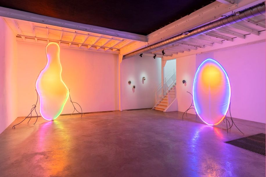 Être collectif : une exposition gratuite qui invite à repenser notre lien au vivant