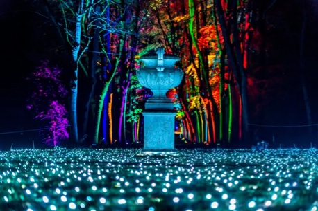 Lumières en Seine à Saint Cloud : un parcours féérique