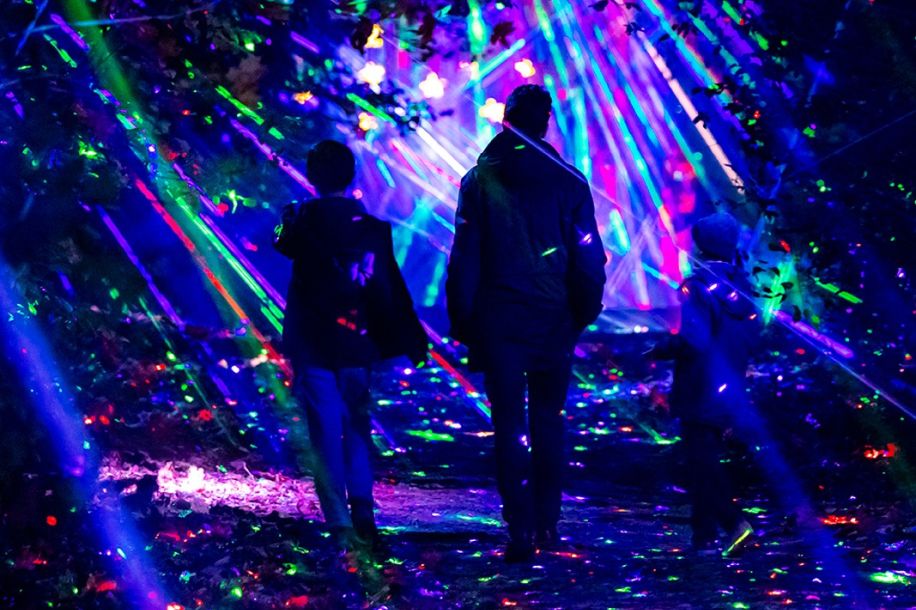 Lumières en Seine 2025 : balade lumineuse et magique au Domaine de Saint-Cloud
