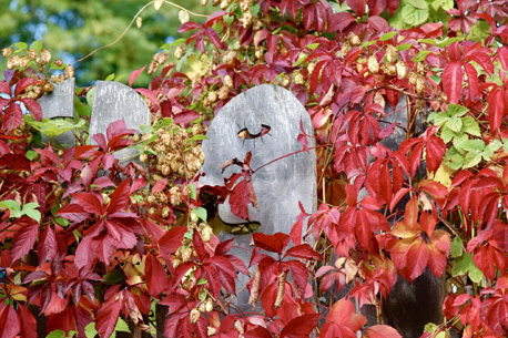 Fête de l’Automne dans un jardin totalement insolite au Moulin Jaune 