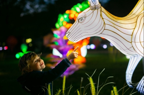 Thoiry Lumières Sauvages 2024 : installations féériques et parcours lumineux