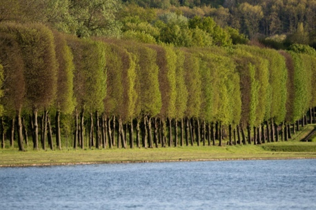 Visite gratuite du parc du château de Versailles : 800 hectares de balade royale