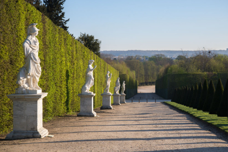 Visite gratuite des jardins du Château de Versailles : symétrie parfaite et grandeur à perte de vue