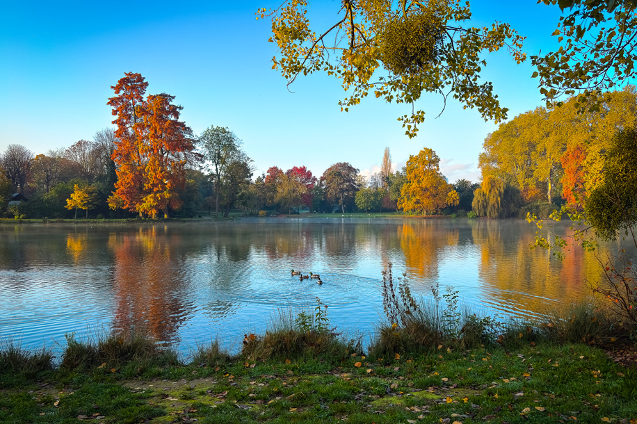 Le Bois de Vincennes au printemps : une balade gratuite qui met la nature à l'honneur