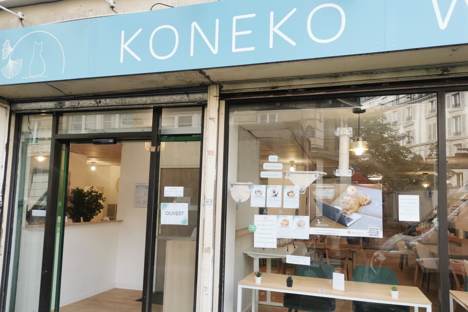 Travailler avec des chats ? Voici Koneko Work, votre nouveau bureau feel good