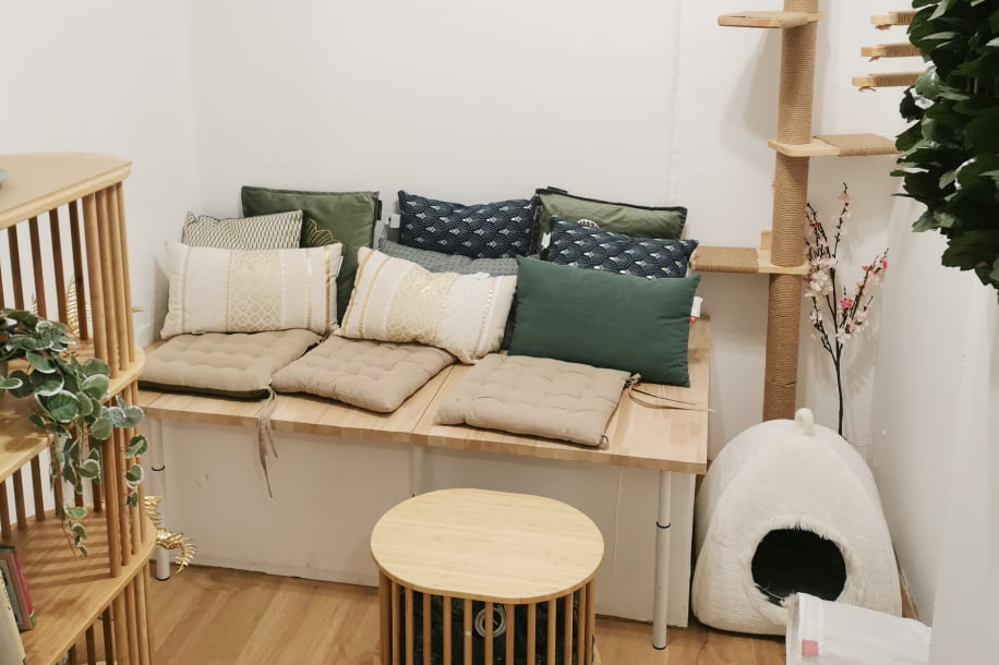 Travailler avec des chats ? Voici Koneko Work, votre nouveau bureau feel good