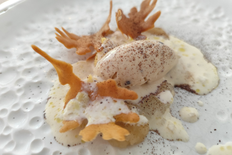 Le Jardin des Plumes : entre nature, art et haute cuisine à Giverny