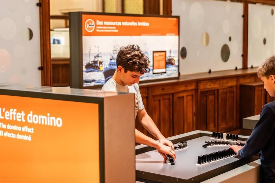 Visites gratuites à Citéco : l’économie rendue ludique au cœur d’un château parisien