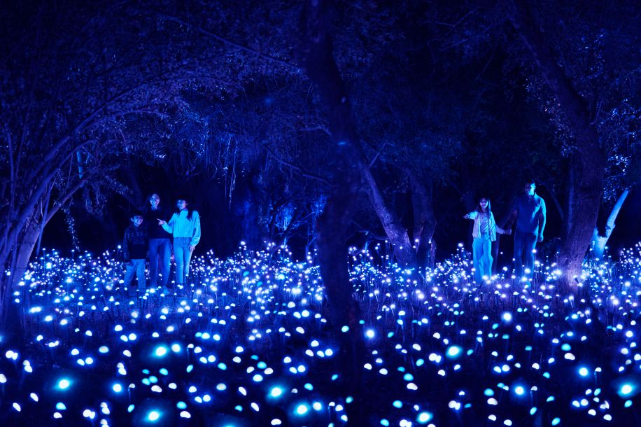 light cycles villette installations artistiques 1