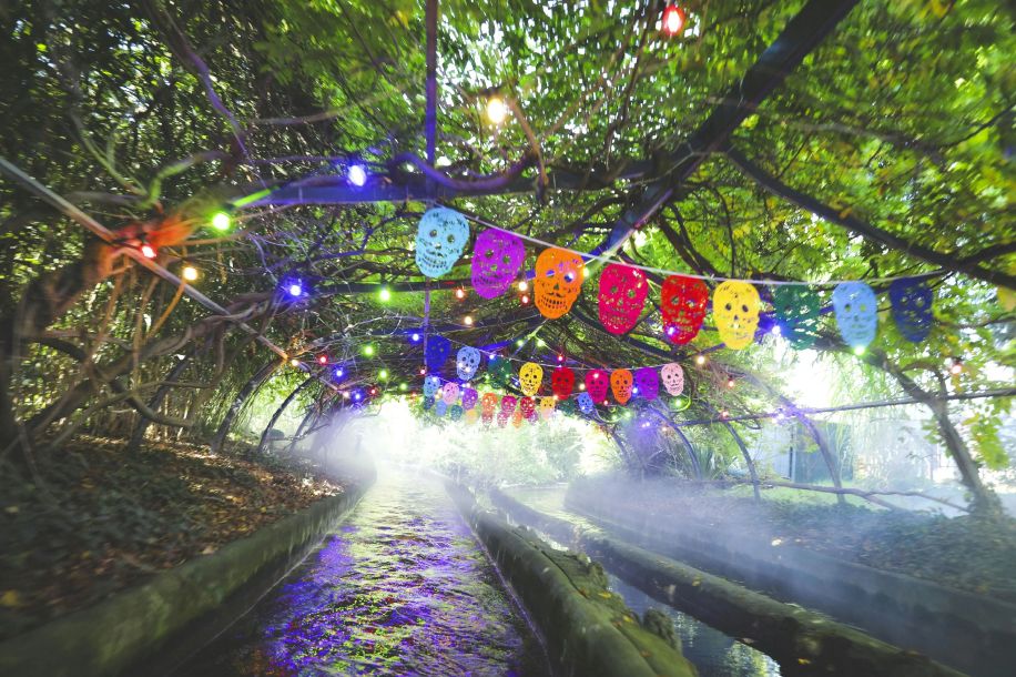 Dia de los Muertos : un Halloween joyeux et familial au Jardin d’Acclimatation