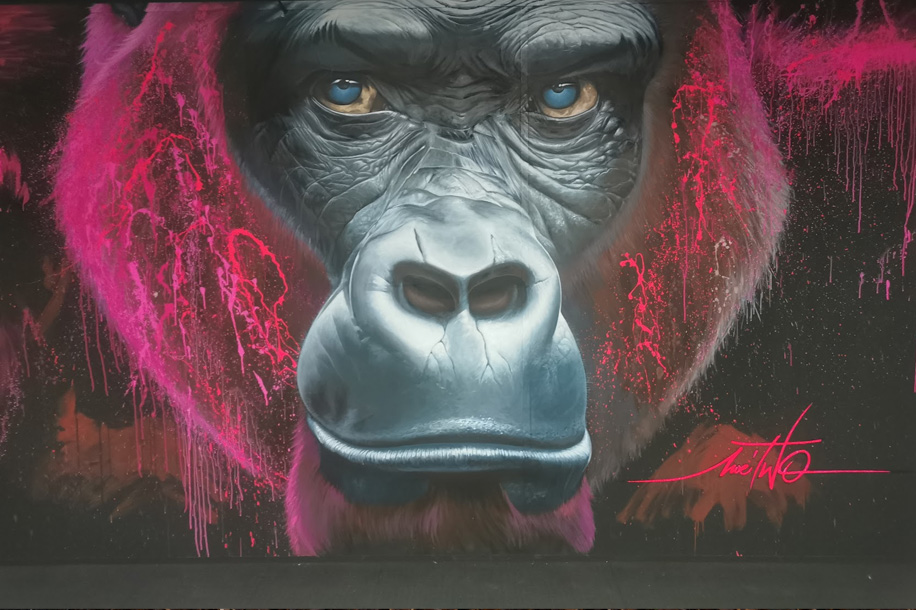 zoo art show la defense 00