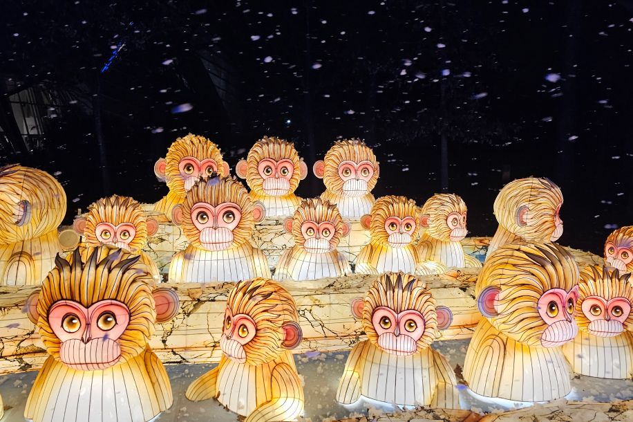 le japon des lumieres jardin acclimatation 1