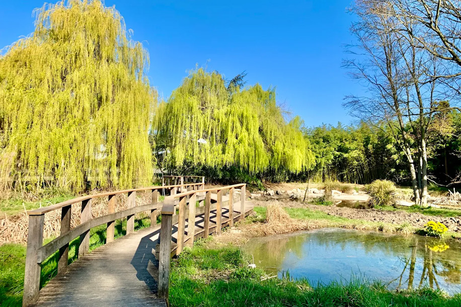 Une balade naturaliste gratuite à l’Arboretum du bois de Vincennes