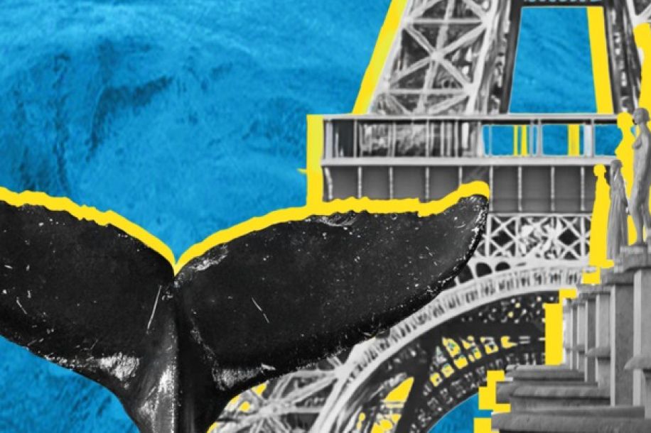 bon plan paris la grande maree musee marine 1