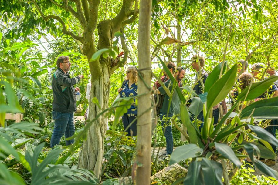 Week-end gratuit aux serres d’Auteuil : concerts, plantes exotiques et ateliers pratiques