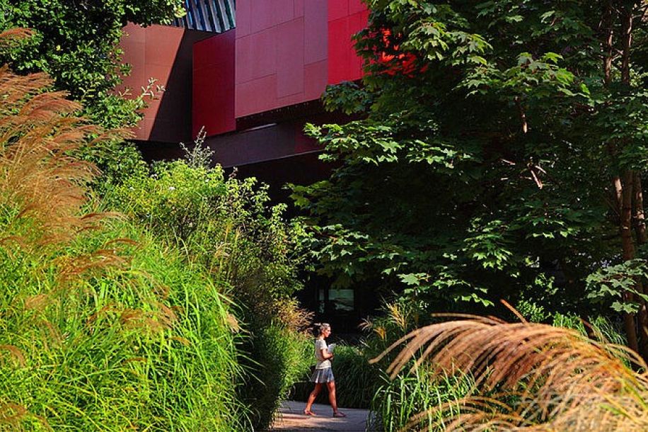 Jardin d’Été au musée du quai Branly : un festival gratuit pour petits et grands curieux