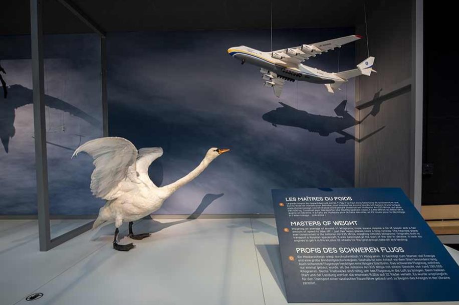 Nuit des étoiles 2025 : soirée gratuite pleine d’animations célestes au Musée de l’Air et de l’Espace