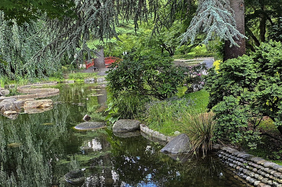 Entrée gratuite pour le magnifique Jardin Albert Kahn