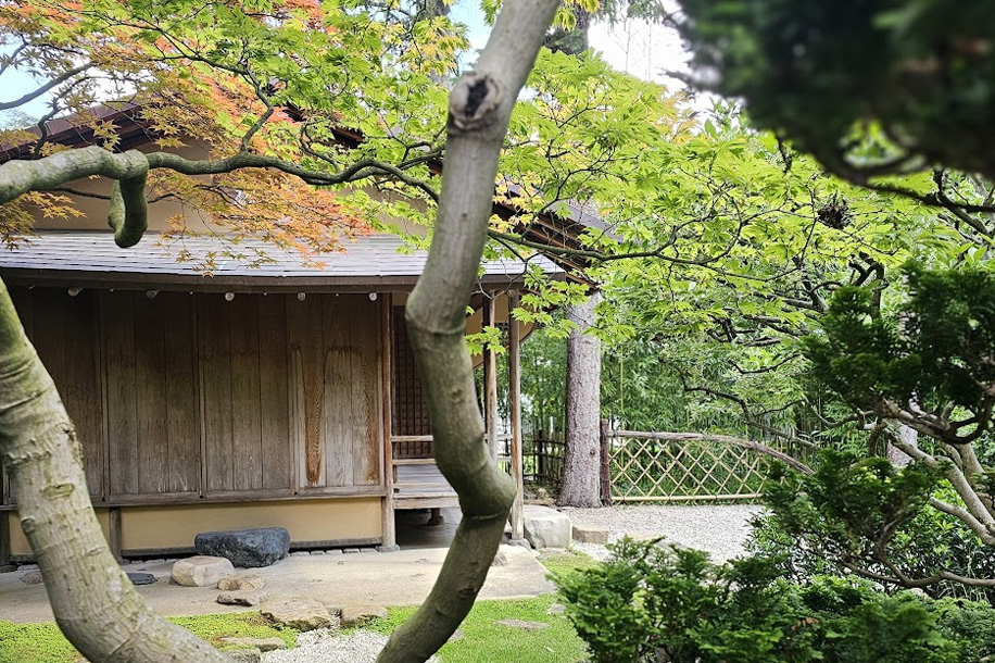Entrée gratuite pour le magnifique Jardin Albert Kahn
