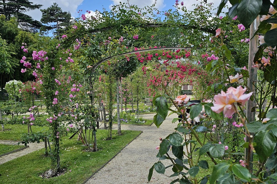 Entrée gratuite pour le magnifique Jardin Albert Kahn