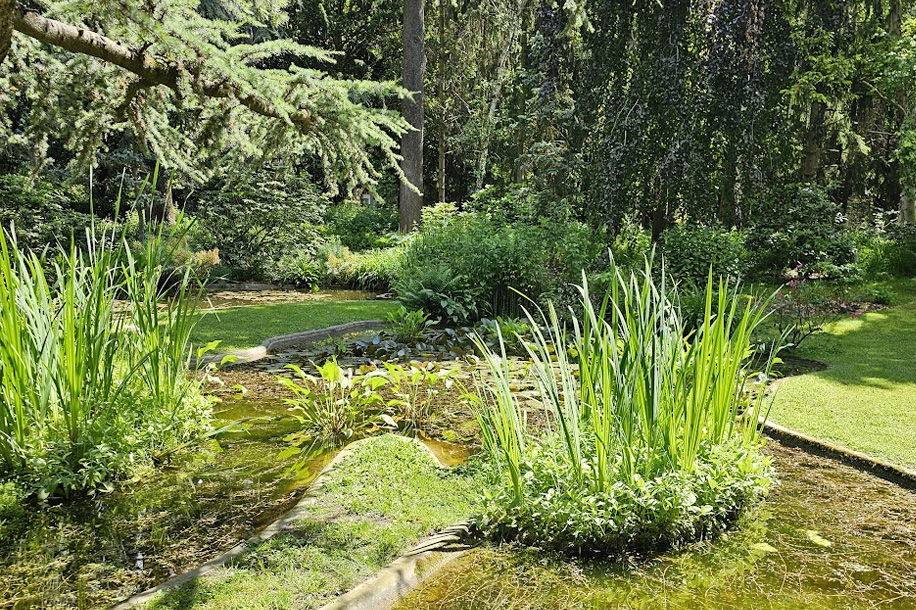 Entrée gratuite pour le magnifique Jardin Albert Kahn